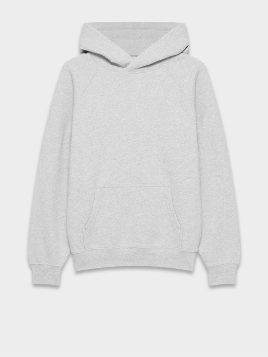Aritzia Sweaters - Aritzia Mega Raglan Hoodie